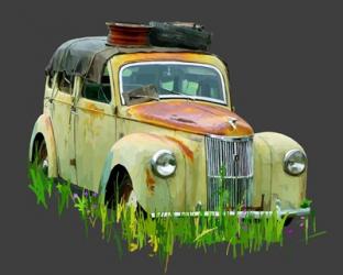Rusty Car III | Obraz na stenu