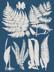 Linen & Blue Ferns I | Obraz na stenu