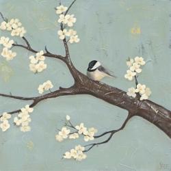 Chickadee & Dogwood II | Obraz na stenu