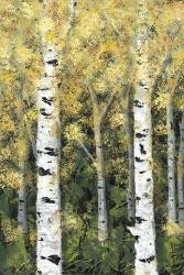 Birch Treeline I | Obraz na stenu
