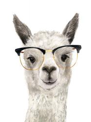 Hip Llama IV | Obraz na stenu