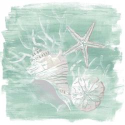 Weathered Shell Assortment I | Obraz na stenu