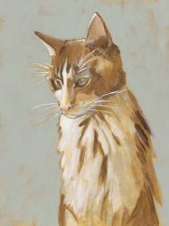 Lap Cat II | Obraz na stenu