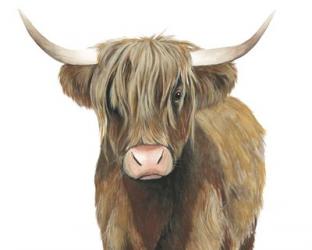 Highland Cattle II | Obraz na stenu