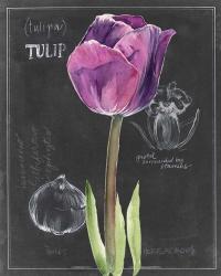 Chalkboard Flower IV | Obraz na stenu