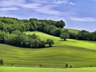 Pastoral Countryside II | Obraz na stenu