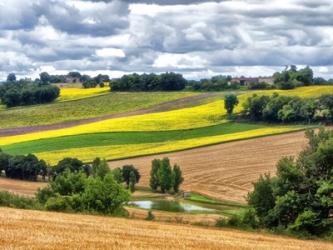 Pastoral Countryside VIII | Obraz na stenu