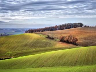 Pastoral Countryside XX | Obraz na stenu