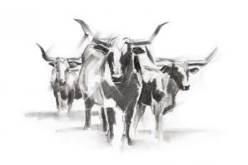 Contemporary Cattle I | Obraz na stenu