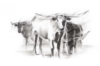 Contemporary Cattle II | Obraz na stenu