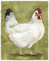 Chicken Scratch III | Obraz na stenu