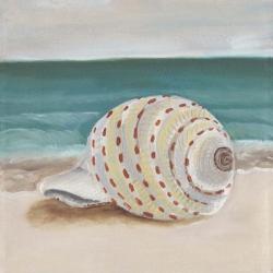 She Sells Seashells II | Obraz na stenu