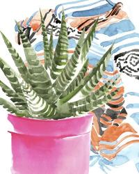 Zebra Succulent II | Obraz na stenu