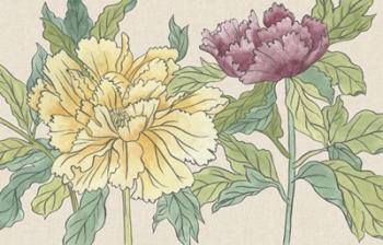 Peony Blooms II | Obraz na stenu