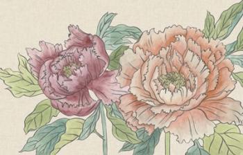 Peony Blooms IV | Obraz na stenu