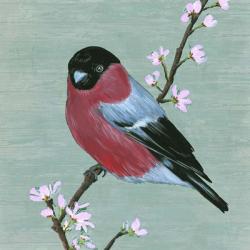 Bird & Blossoms I | Obraz na stenu