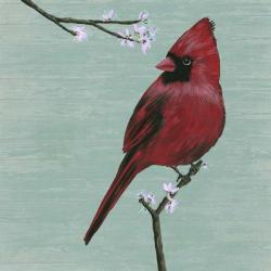 Bird & Blossoms II | Obraz na stenu