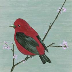 Bird & Blossoms III | Obraz na stenu