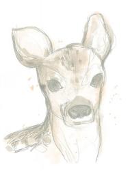 Deer Cameo I | Obraz na stenu