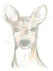Deer Cameo II | Obraz na stenu