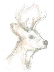 Deer Cameo IV | Obraz na stenu