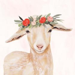 Garden Goat I | Obraz na stenu