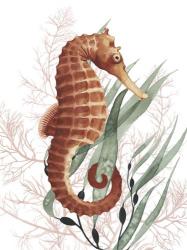 Seahorse Treasures I | Obraz na stenu