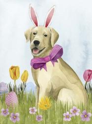 Puppy Easter I | Obraz na stenu