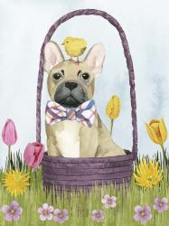 Puppy Easter III | Obraz na stenu