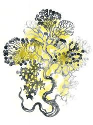 Citron Sea Kelp I | Obraz na stenu