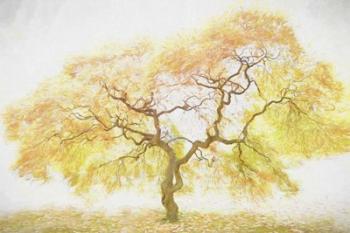 Golden Tree | Obraz na stenu