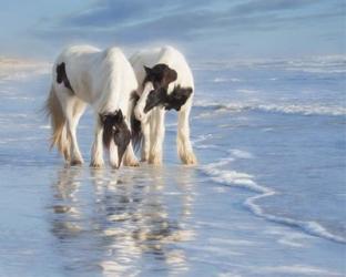 Water Horses I | Obraz na stenu