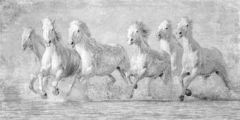 Water Horses V | Obraz na stenu