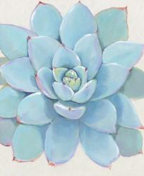 Pastel Succulent I | Obraz na stenu