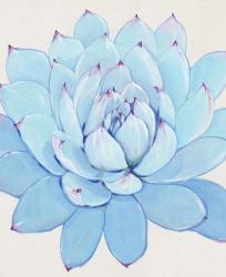 Pastel Succulent II | Obraz na stenu