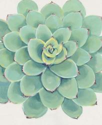 Pastel Succulent III | Obraz na stenu