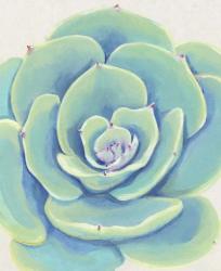 Pastel Succulent IV | Obraz na stenu