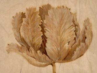 Sepia Tulip on Birch II | Obraz na stenu