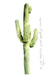 Cactus Verse V | Obraz na stenu