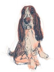 Dog Portrait--Ajax | Obraz na stenu