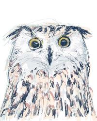 Funky Owl Portrait II | Obraz na stenu