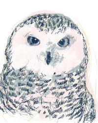 Funky Owl Portrait IV | Obraz na stenu