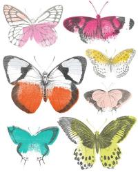 Chromatic Butterflies I | Obraz na stenu