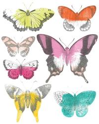 Chromatic Butterflies II | Obraz na stenu