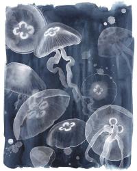 Moon Jellies I | Obraz na stenu