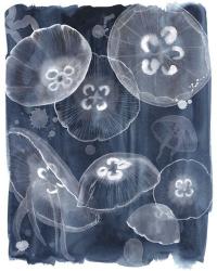 Moon Jellies II | Obraz na stenu