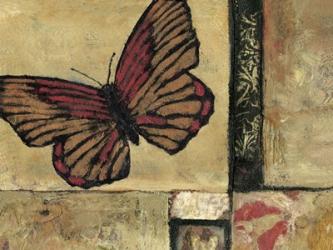 Butterfly in Border I | Obraz na stenu