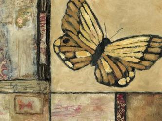 Butterfly in Border II | Obraz na stenu