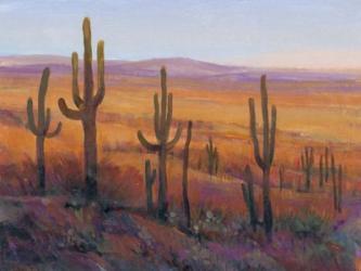 Desert Light I | Obraz na stenu