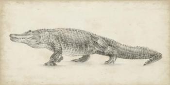 Alligator Sketch | Obraz na stenu